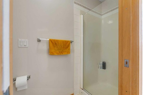 77 Taralea Green Ne, Calgary, AB - Indoor Photo Showing Bathroom