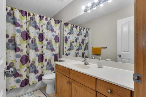 77 Taralea Green Ne, Calgary, AB - Indoor Photo Showing Bathroom