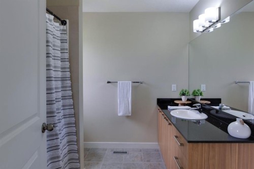 105-300 Marina Drive, Chestermere, AB - Indoor Photo Showing Bathroom