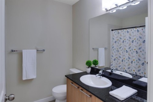105-300 Marina Drive, Chestermere, AB - Indoor Photo Showing Bathroom