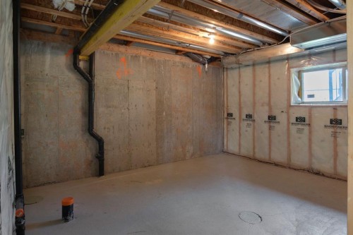105-300 Marina Drive, Chestermere, AB - Indoor Photo Showing Basement