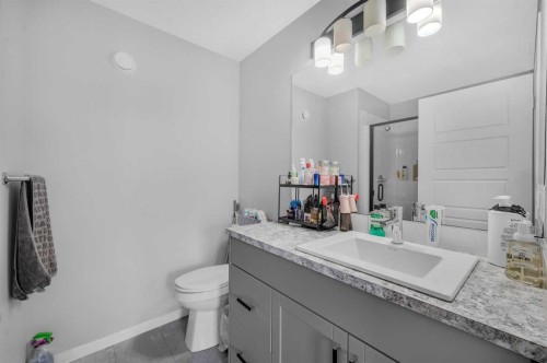 220 Cornerstone Grove Ne, Calgary, AB - Indoor Photo Showing Bathroom