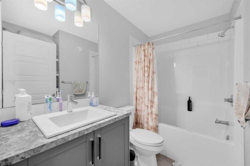 220 Cornerstone Grove Ne, Calgary, AB - Indoor Photo Showing Bathroom