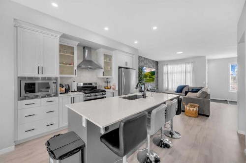 220 Cornerstone Grove Ne, Calgary, AB - Indoor Photo Showing Kitchen With Stainless Steel Kitchen With Upgraded Kitchen