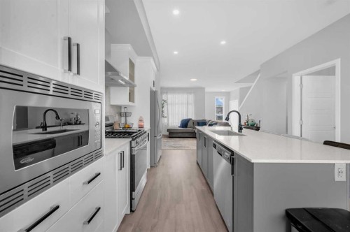 220 Cornerstone Grove Ne, Calgary, AB - Indoor Photo Showing Kitchen With Stainless Steel Kitchen With Upgraded Kitchen