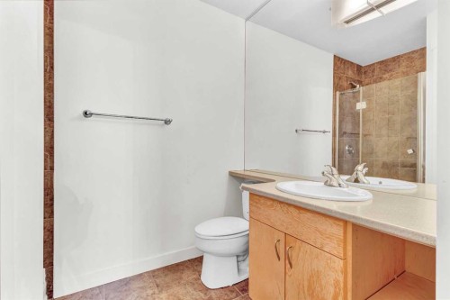 420-8710 Horton Road Sw, Calgary, AB - Indoor Photo Showing Bathroom