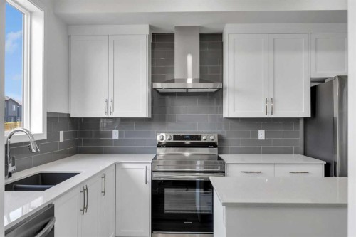 1901 Cornerstone Boulevard Ne, Calgary, AB - Indoor Photo Showing Kitchen With Double Sink With Upgraded Kitchen