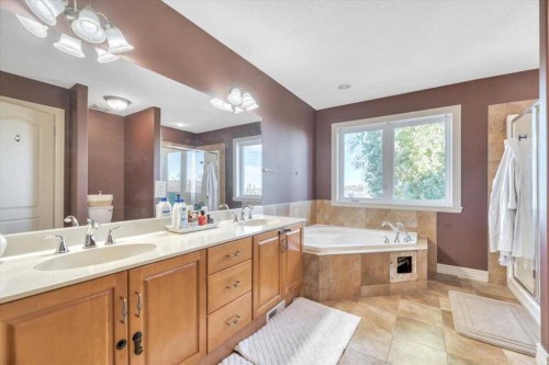 89 Springborough Boulevard Sw, Calgary, AB - Indoor Photo Showing Bathroom