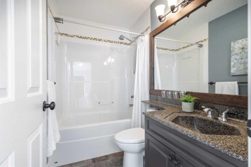 52 Canoe Road Sw, Airdrie, AB - Indoor Photo Showing Bathroom
