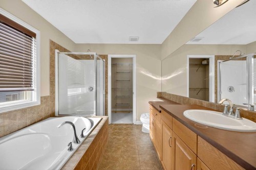 332 Sagewood Landing Sw, Airdrie, AB - Indoor Photo Showing Bathroom