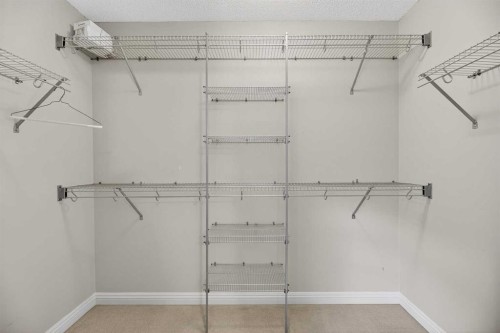 332 Sagewood Landing Sw, Airdrie, AB - Indoor With Storage