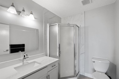 169 Coral Sands Terrace Ne, Calgary, AB - Indoor Photo Showing Bathroom