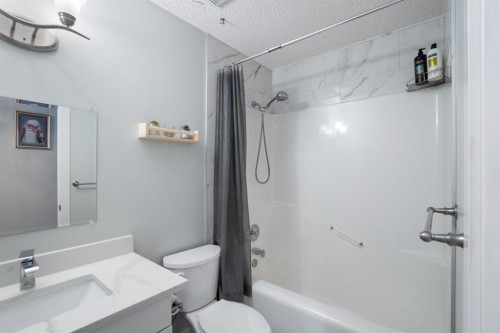169 Coral Sands Terrace Ne, Calgary, AB - Indoor Photo Showing Bathroom