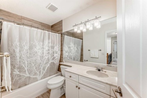 82 Mt Gibraltar Heights Se, Calgary, AB - Indoor Photo Showing Bathroom