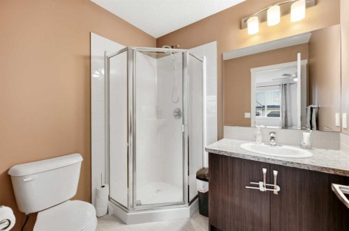 42 Auburn Bay Link Se, Calgary, AB - Indoor Photo Showing Bathroom