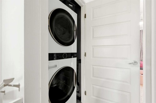 42 Auburn Bay Link Se, Calgary, AB - Indoor Photo Showing Laundry Room