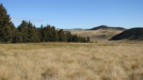 157 Acres Snake Trail, Rural Pincher Creek No. 9, M.D. Of, AB 