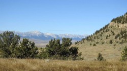 157 Acres Snake Trail  Rural Pincher Creek No. 9, M.D. Of, AB T9K 1W0