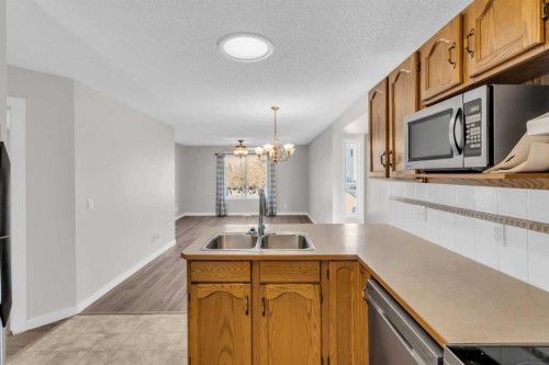 110 West Creek Bay, Chestermere, AB - Indoor Photo Showing Kitchen With Double Sink