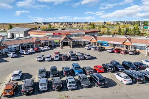 110 West Creek Bay, Chestermere, AB - Outdoor With View