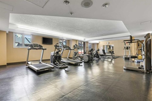 607-738 3 Avenue Sw, Calgary, AB - Indoor Photo Showing Gym Room