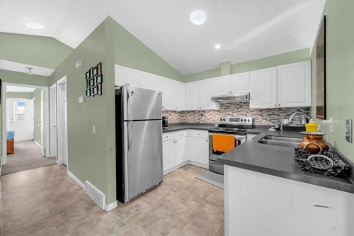 48 Martin Crossing Court Ne, Calgary, AB - Indoor Photo Showing Kitchen With Double Sink With Upgraded Kitchen