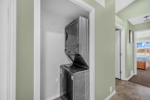 48 Martin Crossing Court Ne, Calgary, AB - Indoor Photo Showing Laundry Room