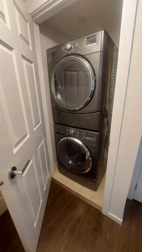 4207-755 Copperpond Boulevard Se, Calgary, AB - Indoor Photo Showing Laundry Room