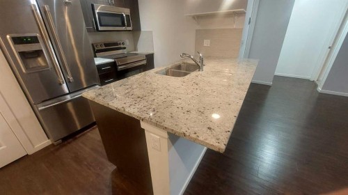 4207-755 Copperpond Boulevard Se, Calgary, AB - Indoor Photo Showing Kitchen With Double Sink With Upgraded Kitchen