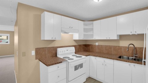 40 Saddlefield Road Ne, Calgary, AB - Indoor Photo Showing Kitchen With Double Sink