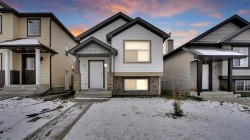 40 saddlefield Road NE Calgary, AB T3J 4Z8