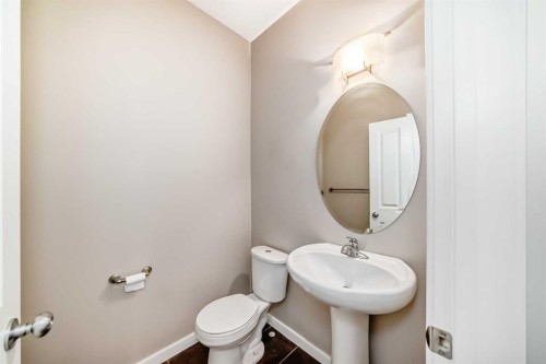 144 Reunion Grove Nw, Airdrie, AB - Indoor Photo Showing Bathroom