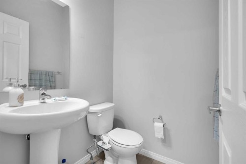 96 Savanna Lane Ne, Calgary, AB - Indoor Photo Showing Bathroom