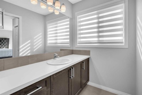 96 Savanna Lane Ne, Calgary, AB - Indoor Photo Showing Bathroom