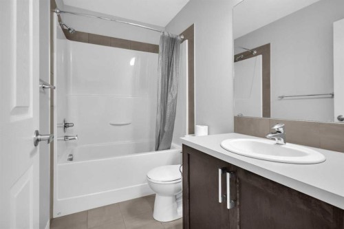96 Savanna Lane Ne, Calgary, AB - Indoor Photo Showing Bathroom