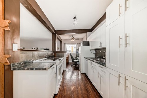 724D Raynard Crescent Se, Calgary, AB - Indoor Photo Showing Kitchen With Double Sink