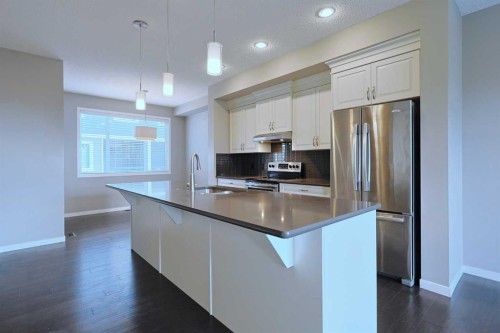 185 Panatella Square Nw, Calgary, AB - Indoor Photo Showing Kitchen With Stainless Steel Kitchen With Upgraded Kitchen
