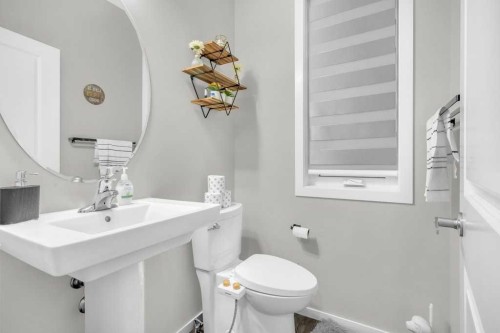 749 Windrow Manor Sw, Airdrie, AB - Indoor Photo Showing Bathroom