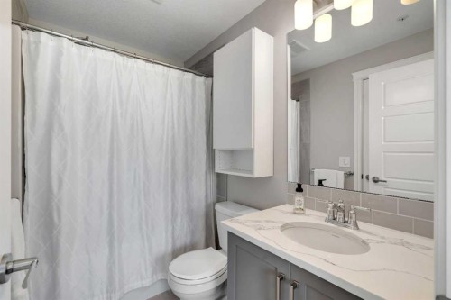 418-19661 40 Street Se, Calgary, AB - Indoor Photo Showing Bathroom