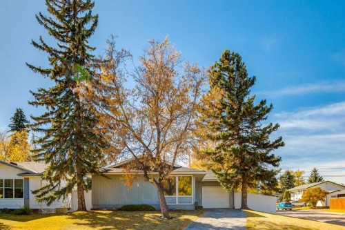 244 Maple Court Crescent Se, Calgary, AB - Outdoor