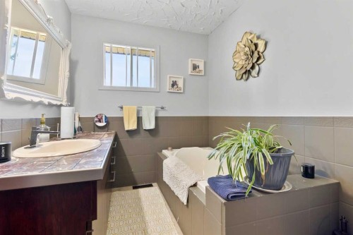 2168 Hwy 587  # 10, Rural Red Deer County, AB - Indoor Photo Showing Bathroom