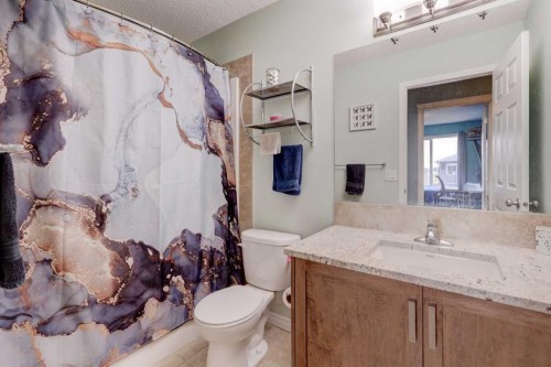 468 Hillcrest Circle Sw, Airdrie, AB - Indoor Photo Showing Bathroom