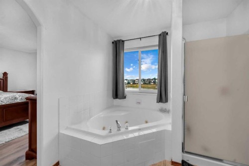 308 Taracove Estate Drive Ne, Calgary, AB - Indoor Photo Showing Bathroom