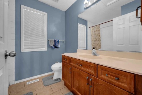 308 Taracove Estate Drive Ne, Calgary, AB - Indoor Photo Showing Bathroom