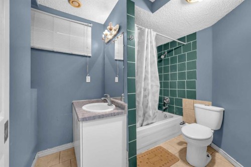 308 Taracove Estate Drive Ne, Calgary, AB - Indoor Photo Showing Bathroom