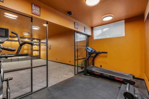 86 West Point Mews Sw, Calgary, AB - Indoor Photo Showing Gym Room