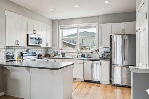 368 Redstone Drive Ne, Calgary, AB - Indoor Photo Showing Kitchen With Upgraded Kitchen