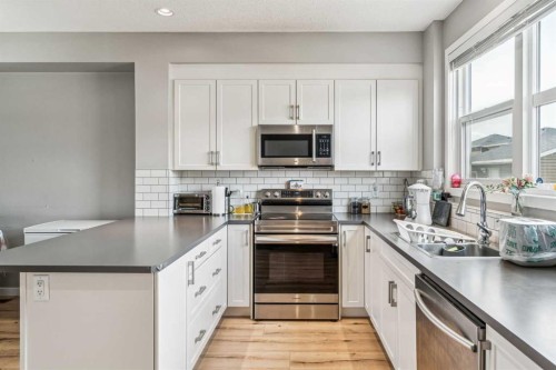 368 Redstone Drive Ne, Calgary, AB - Indoor Photo Showing Kitchen With Upgraded Kitchen