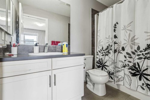 368 Redstone Drive Ne, Calgary, AB - Indoor Photo Showing Bathroom