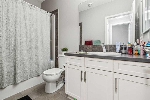368 Redstone Drive Ne, Calgary, AB - Indoor Photo Showing Bathroom